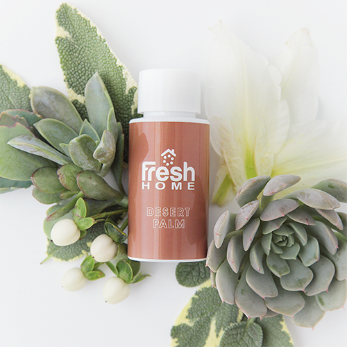 Desert Palm Desert Palm