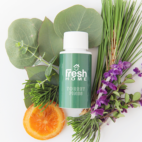 Torrey Pines Torrey Pines